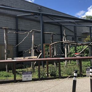 Monkey Habitat - July, 2020