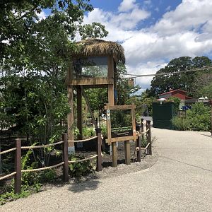 Blue Macaw Outdoor Enclosure - July, 2020