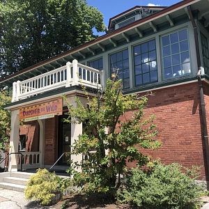 Discover the Wild Giftshop Exterior - July, 2020