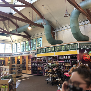 Discover the Wild Giftshop Interior - July, 2020