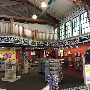 Discover the Wild Giftshop Interior - July, 2020
