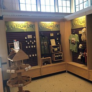 Discover the Wild Giftshop Interior - July, 2020