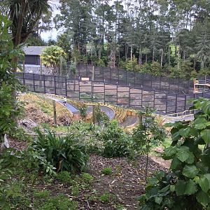 Common Chimpanzee Exhibit (Under Construction)