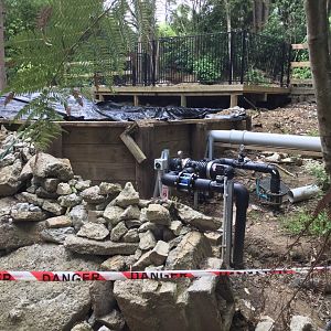 New Zealand Longfin Eel Pond (Under Construction)