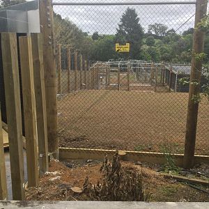 Cheetah Exhibit - Off Display Yards and Night Houses (Under Construction)