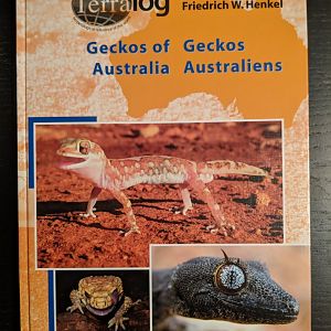 Geckos of Australia