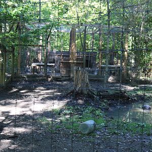 Lion Enclosure (left side)