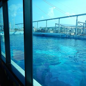 Top view of the main tank