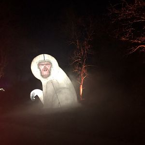 Japanese Snow Monkey Blow-up -Minnesota Zoo Drive-through event