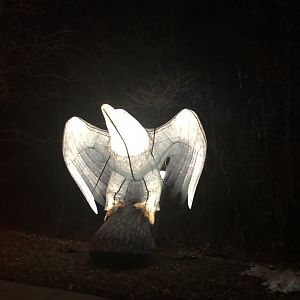 Bald Eagle Blow up-Minnesota zoo Drive-through event