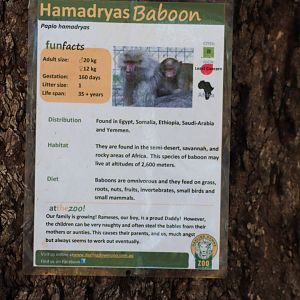 Example of Signage - December 2018