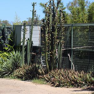 Macaw Aviary - December 2018