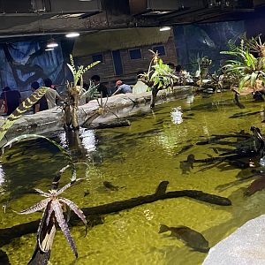 Excellent Refurbishment