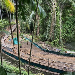 Mandai Park Developments- Future Boardwalk