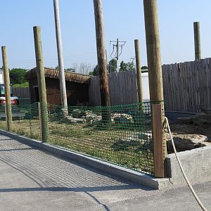 New Exhibit Construction