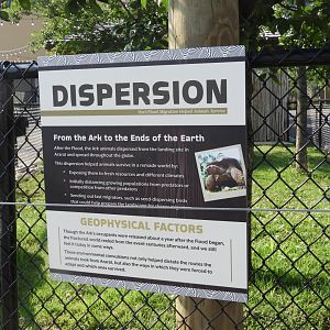 Dispersion Sign - tortoise