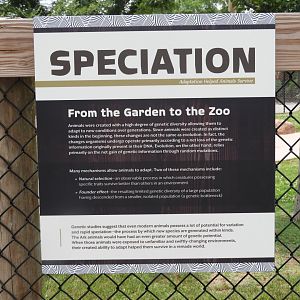 Speciation Sign