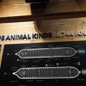 List of animals on the ark