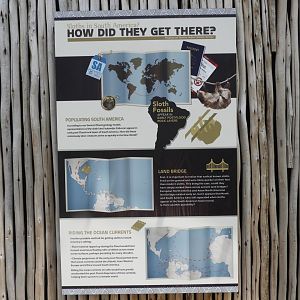 Sloth Dispersal Sign