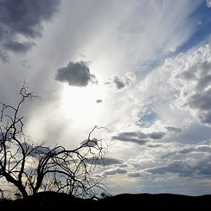 Interesting sky scene.