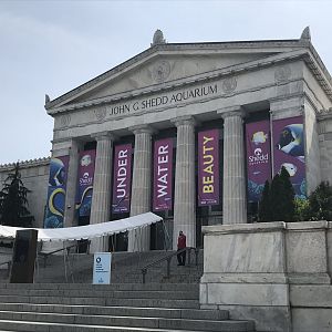 Shedd Aquarium: Exterior