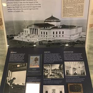 Shedd Aquarium: Aquarium History Display