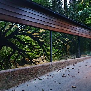 Fishing Cat Trail - Spectacled Owl aviary