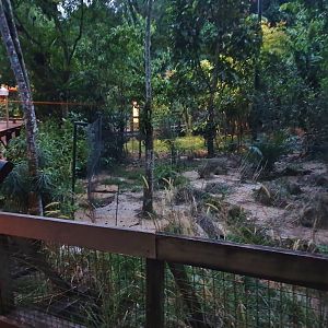 Fishing Cat Trail - Maned Wolf exhibit (opening soon)