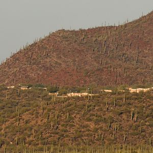 view of grounds from a distance