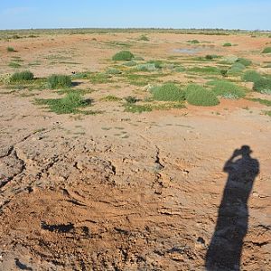 Just me and my shadow....