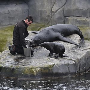 Surprising cohabitation