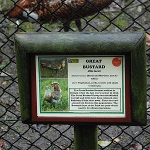 Signage Example (Great Bustard) at Cotswold, October 31st 2020