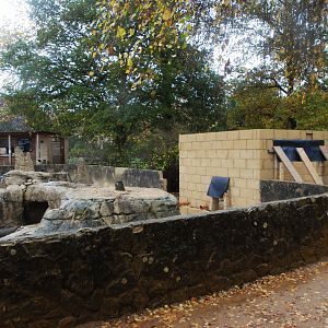 Porcupine Enclosure Reconstruction at Cotswold, October 31st 2020