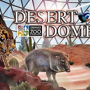 The Desert Dome | Zoo Tours