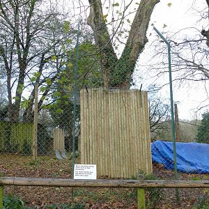 Changes in the tiger enclosure, December 2020