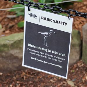 Sign in Walkthrough Aviary