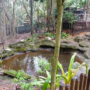 Lost Valley Aviary - Main Pond