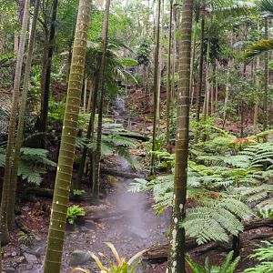 Lost Valley Aviary - One of Two Waterfalls