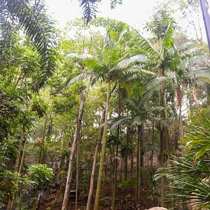 Lost Valley Aviary - Canopy