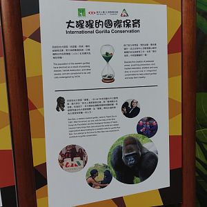 International Gorilla Conservation