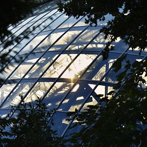 Greenhouse at sunset