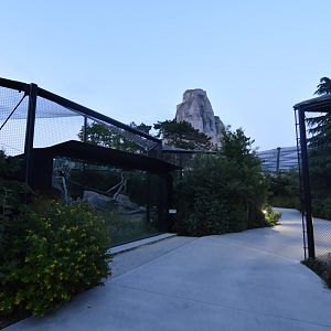 Carnivores enclosures