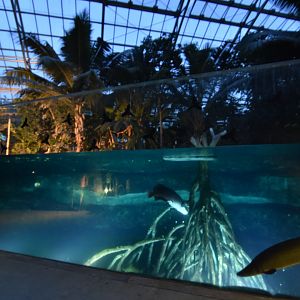 Wandering at night in the greenhouse