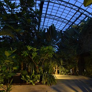 Wandering at night in the greenhouse
