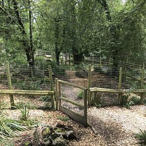 Port Lympne Hotel and Reserve - 26.07.2020