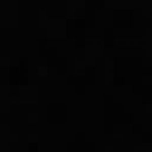 New Guinea ground cuscus