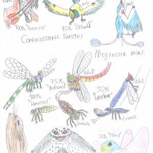 PKC: Mini-aviary variety