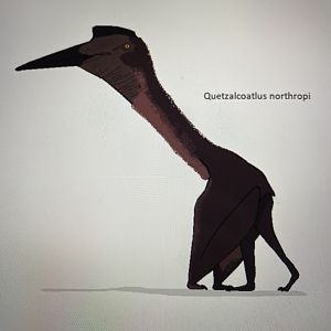 Quetzalcoatlus northropi (my depiction)