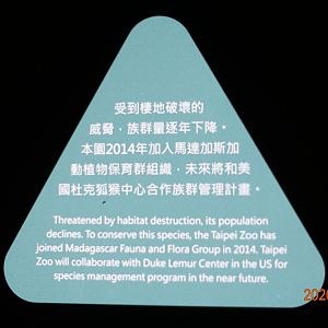 Taipei will collaborate with DLC in the future.