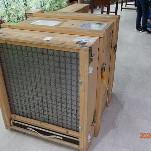 The box that has been used to transport a famale clouded leopard called "Suki" from Wuppertal Zoo to Taipei Zoo in 2016.